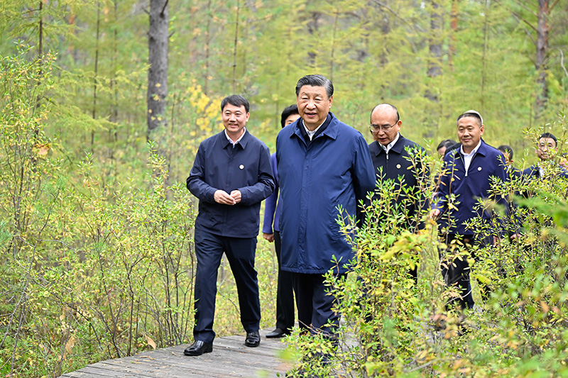 9月6日至8日，中共中央總書記、國家主席、中央軍委主席習(xí)近平在黑龍江考察。這是6日下午，習(xí)近平在大興安嶺地區(qū)漠河市漠河林場自然林區(qū)考察
